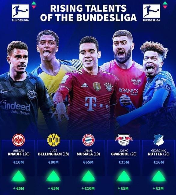 质量与粉丝 质量与粉丝